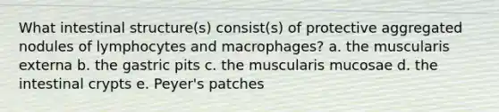 What intestinal structure(s) consist(s) of protective aggregated nodules of lymphocytes and macrophages? a. the muscularis externa b. the gastric pits c. the muscularis mucosae d. the intestinal crypts e. Peyer's patches