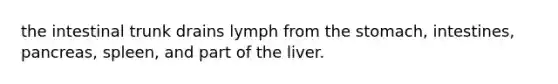 the intestinal trunk drains lymph from the stomach, intestines, pancreas, spleen, and part of the liver.