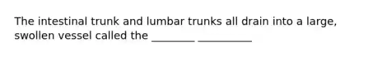 The intestinal trunk and lumbar trunks all drain into a large, swollen vessel called the ________ __________