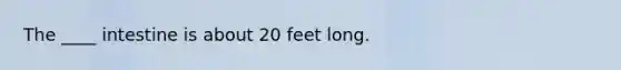 The ____ intestine is about 20 feet long.