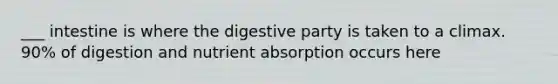 ___ intestine is where the digestive party is taken to a climax. 90% of digestion and nutrient absorption occurs here