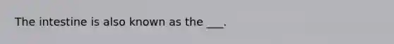 The intestine is also known as the ___.