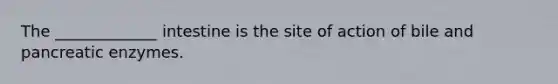 The _____________ intestine is the site of action of bile and pancreatic enzymes.