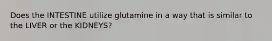 Does the INTESTINE utilize glutamine in a way that is similar to the LIVER or the KIDNEYS?