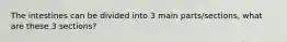 The intestines can be divided into 3 main parts/sections, what are these 3 sections?