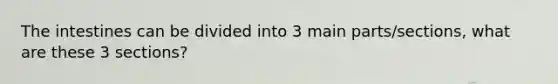 The intestines can be divided into 3 main parts/sections, what are these 3 sections?