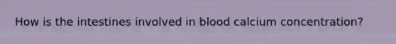 How is the intestines involved in blood calcium concentration?