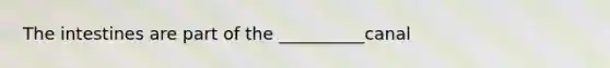 The intestines are part of the __________canal