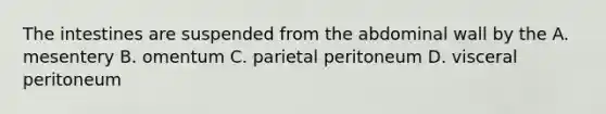 The intestines are suspended from the abdominal wall by the A. mesentery B. omentum C. parietal peritoneum D. visceral peritoneum