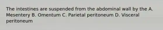 The intestines are suspended from the abdominal wall by the A. Mesentery B. Omentum C. Parietal peritoneum D. Visceral peritoneum