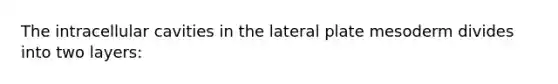 The intracellular cavities in the lateral plate mesoderm divides into two layers: