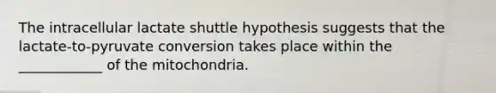 The intracellular lactate shuttle hypothesis suggests that the lactate-to-pyruvate conversion takes place within the ____________ of the mitochondria.