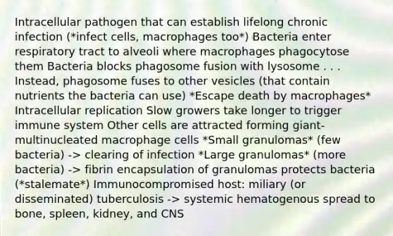 Intracellular pathogen that can establish lifelong chronic infection (*infect cells, macrophages too*) Bacteria enter respiratory tract to alveoli where macrophages phagocytose them Bacteria blocks phagosome fusion with lysosome . . . Instead, phagosome fuses to other vesicles (that contain nutrients the bacteria can use) *Escape death by macrophages* Intracellular replication Slow growers take longer to trigger immune system Other cells are attracted forming giant-multinucleated macrophage cells *Small granulomas* (few bacteria) -> clearing of infection *Large granulomas* (more bacteria) -> fibrin encapsulation of granulomas protects bacteria (*stalemate*) Immunocompromised host: miliary (or disseminated) tuberculosis -> systemic hematogenous spread to bone, spleen, kidney, and CNS