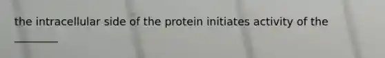 the intracellular side of the protein initiates activity of the ________