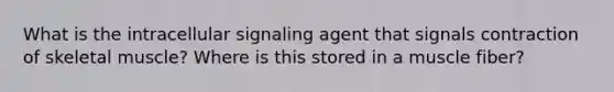 What is the intracellular signaling agent that signals contraction of skeletal muscle? Where is this stored in a muscle fiber?