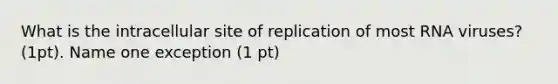 What is the intracellular site of replication of most RNA viruses? (1pt). Name one exception (1 pt)