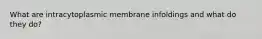 What are intracytoplasmic membrane infoldings and what do they do?