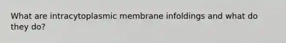 What are intracytoplasmic membrane infoldings and what do they do?