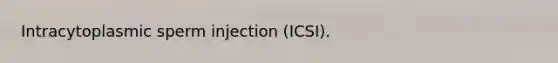 Intracytoplasmic sperm injection (ICSI).