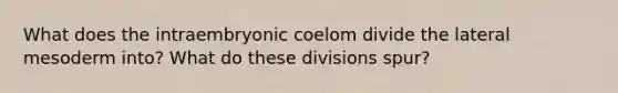 What does the intraembryonic coelom divide the lateral mesoderm into? What do these divisions spur?