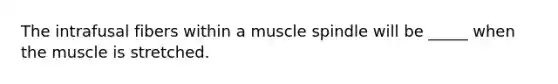 The intrafusal fibers within a muscle spindle will be _____ when the muscle is stretched.