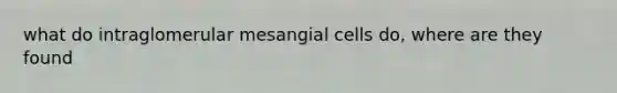 what do intraglomerular mesangial cells do, where are they found