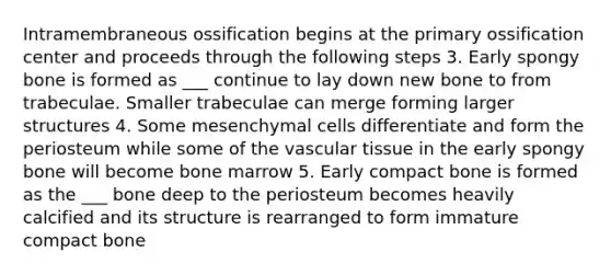 Intramembraneous ossification begins at the primary ossification center and proceeds through the following steps 3. Early spongy bone is formed as ___ continue to lay down new bone to from trabeculae. Smaller trabeculae can merge forming larger structures 4. Some mesenchymal cells differentiate and form the periosteum while some of the vascular tissue in the early spongy bone will become bone marrow 5. Early compact bone is formed as the ___ bone deep to the periosteum becomes heavily calcified and its structure is rearranged to form immature compact bone