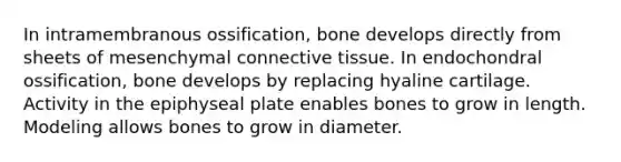 In intramembranous ossification, bone develops directly from sheets of mesenchymal connective tissue. In endochondral ossification, bone develops by replacing hyaline cartilage. Activity in the epiphyseal plate enables bones to grow in length. Modeling allows bones to grow in diameter.