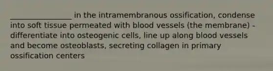 ________________ in the intramembranous ossification, condense into soft tissue permeated with blood vessels (the membrane) - differentiate into osteogenic cells, line up along blood vessels and become osteoblasts, secreting collagen in primary ossification centers