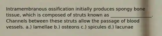 Intramembranous ossification initially produces spongy bone tissue, which is composed of struts known as __________________. Channels between these struts allow the passage of blood vessels. a.) lamellae b.) osteons c.) spicules d.) lacunae