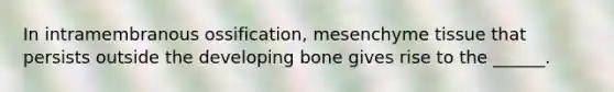 In intramembranous ossification, mesenchyme tissue that persists outside the developing bone gives rise to the ______.