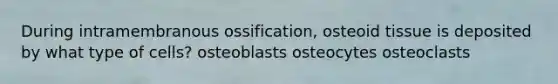 During intramembranous ossification, osteoid tissue is deposited by what type of cells? osteoblasts osteocytes osteoclasts