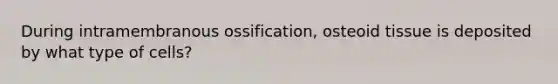 During intramembranous ossification, osteoid tissue is deposited by what type of cells?