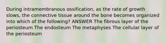 During intramembranous ossification, as the rate of growth slows, the connective tissue around the bone becomes organized into which of the following? ANSWER The fibrous layer of the periosteum The endosteum The metaphyses The cellular layer of the periosteum