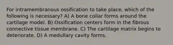 For intramembranous ossification to take place, which of the following is necessary? A) A bone collar forms around the cartilage model. B) Ossification centers form in the fibrous connective tissue membrane. C) The cartilage matrix begins to deteriorate. D) A medullary cavity forms.