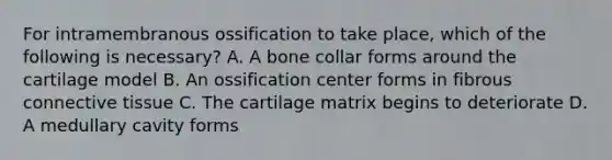 For intramembranous ossification to take place, which of the following is necessary? A. A bone collar forms around the cartilage model B. An ossification center forms in fibrous connective tissue C. The cartilage matrix begins to deteriorate D. A medullary cavity forms