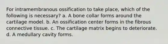 For intramembranous ossification to take place, which of the following is necessary? a. A bone collar forms around the cartilage model. b. An ossification center forms in the fibrous connective tissue. c. The cartilage matrix begins to deteriorate. d. A medullary cavity forms.