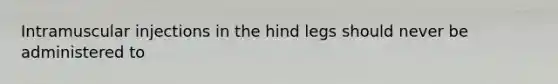 Intramuscular injections in the hind legs should never be administered to