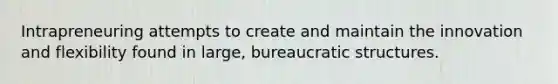 Intrapreneuring attempts to create and maintain the innovation and flexibility found in large, bureaucratic structures.