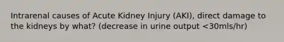 Intrarenal causes of Acute Kidney Injury (AKI), direct damage to the kidneys by what? (decrease in urine output <30mls/hr)