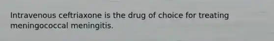 Intravenous ceftriaxone is the drug of choice for treating meningococcal meningitis.