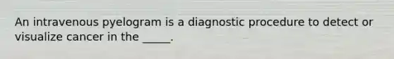 An intravenous pyelogram is a diagnostic procedure to detect or visualize cancer in the _____.