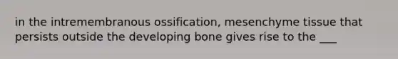 in the intremembranous ossification, mesenchyme tissue that persists outside the developing bone gives rise to the ___