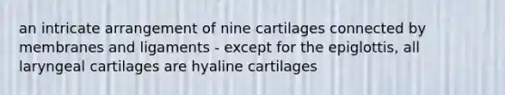 an intricate arrangement of nine cartilages connected by membranes and ligaments - except for the epiglottis, all laryngeal cartilages are hyaline cartilages