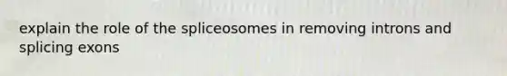 explain the role of the spliceosomes in removing introns and splicing exons