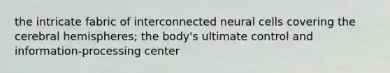 the intricate fabric of interconnected neural cells covering the cerebral hemispheres; the body's ultimate control and information-processing center