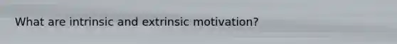 What are intrinsic and extrinsic motivation?