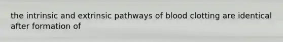 the intrinsic and extrinsic pathways of blood clotting are identical after formation of
