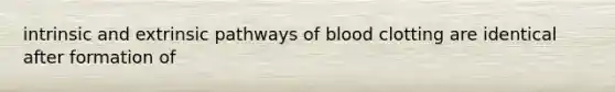 intrinsic and extrinsic pathways of blood clotting are identical after formation of