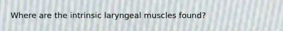 Where are the intrinsic laryngeal muscles found?